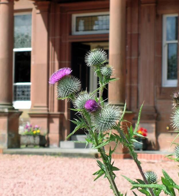 فيلا بيغارفي Toftcombs Mansion House المظهر الخارجي الصورة
